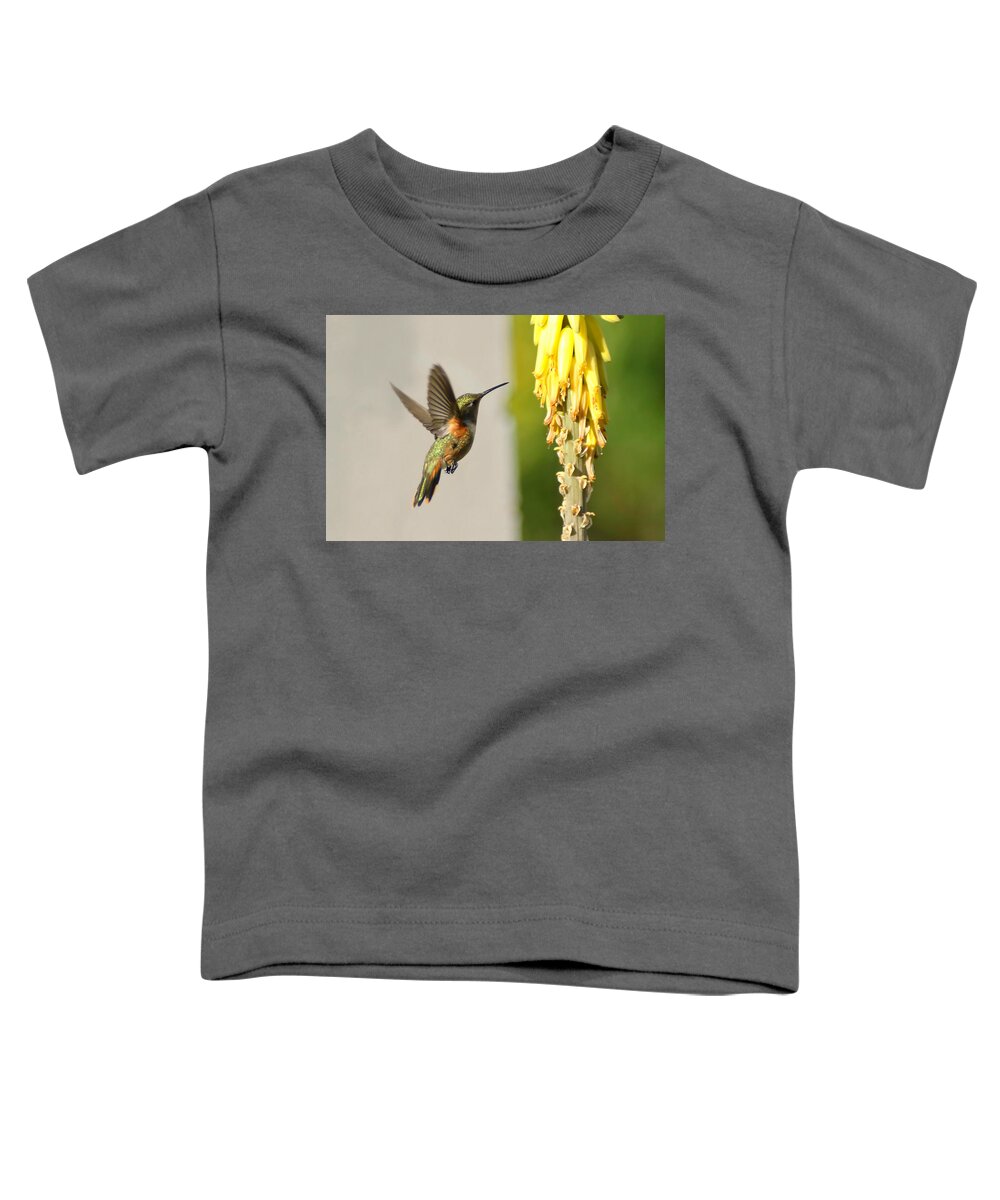 Humming Bird Toddler T-Shirt featuring the photograph I Believe I can Fly by Montez Kerr