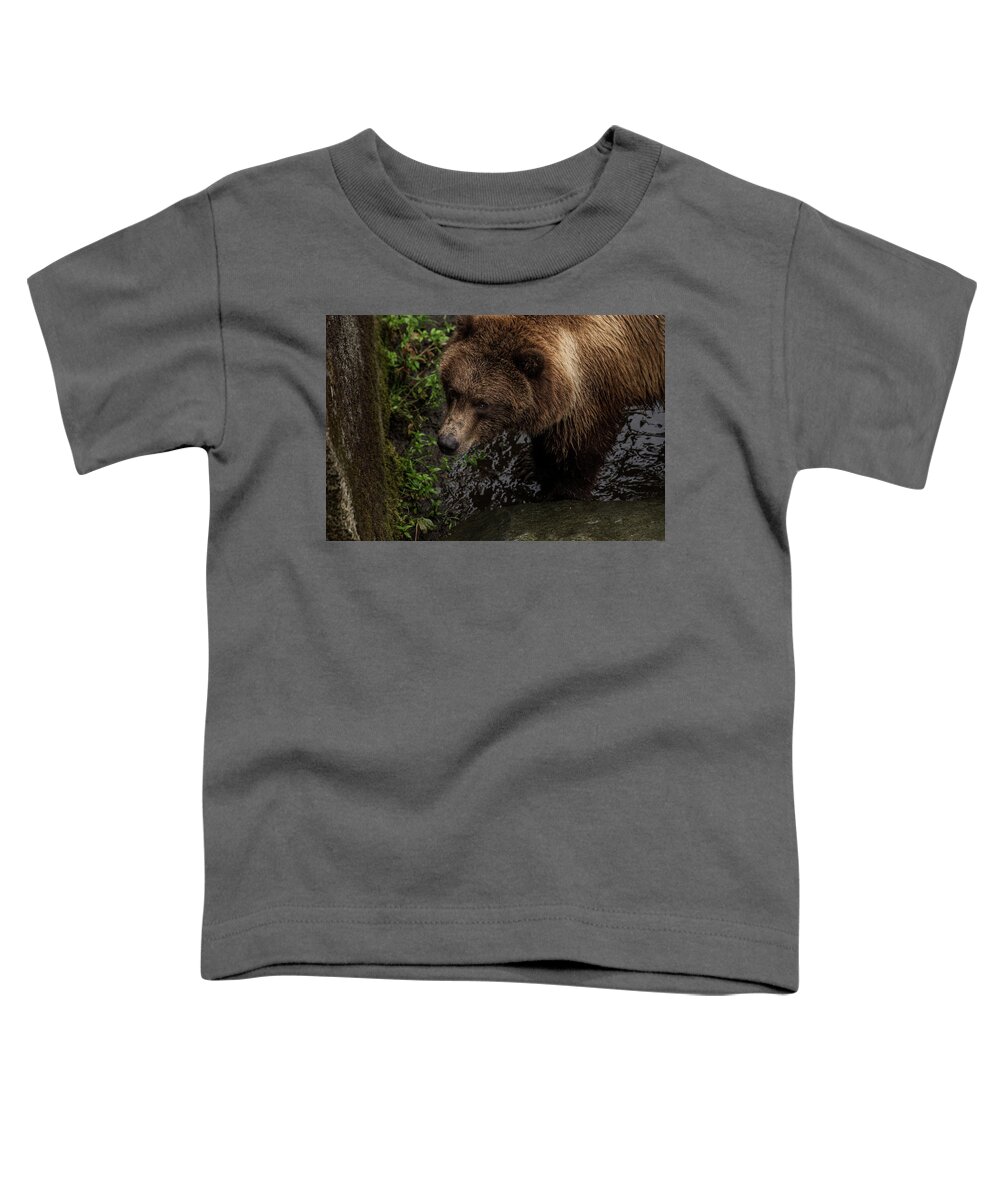 Brown Bear Toddler T-Shirt featuring the photograph I see you by David Kirby