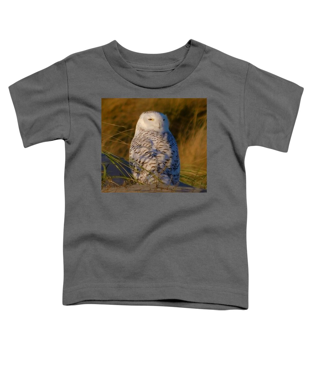 - I Still See You - Snowy Owl Toddler T-Shirt featuring the photograph - I still see you - Snowy Owl by THERESA Nye