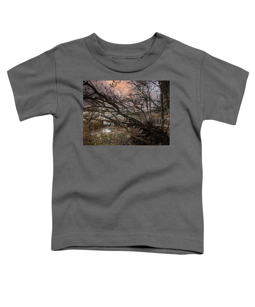 Photography Toddler T-Shirt featuring the photograph I Will Wait For You Till Your Winter Has Gone by Aleksandrs Drozdovs