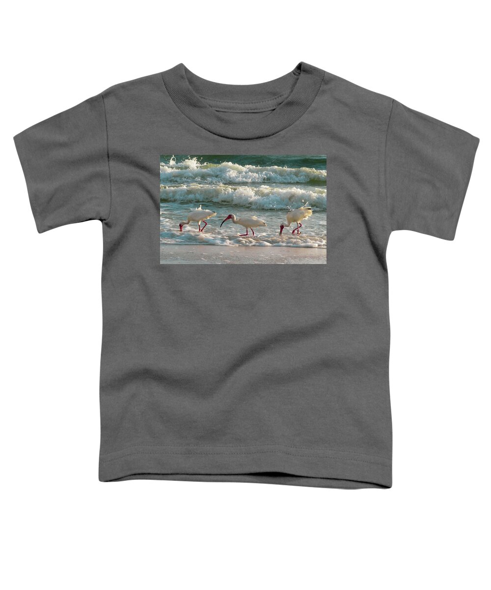 Ibis Toddler T-Shirt featuring the photograph Ibis Among Us by Vicky Edgerly