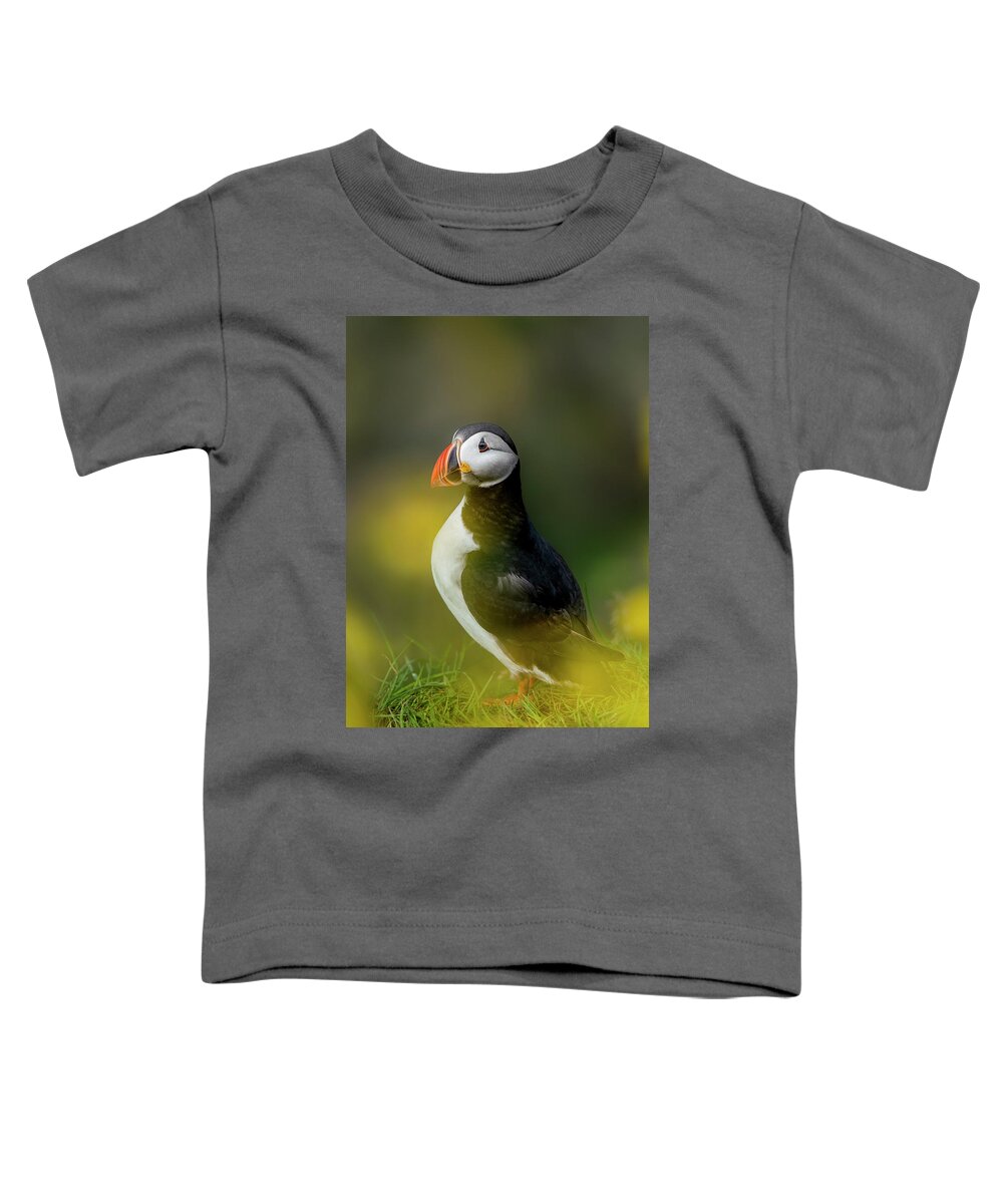 Puffin Toddler T-Shirt featuring the photograph Iceland - Atlantic puffin by Olivier Parent