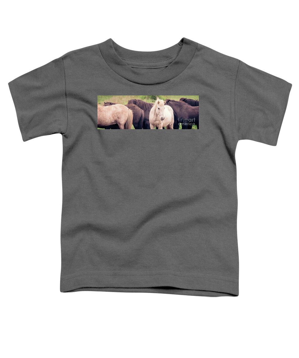 Horses Toddler T-Shirt featuring the photograph Icelandic horses panorama by Delphimages Photo Creations