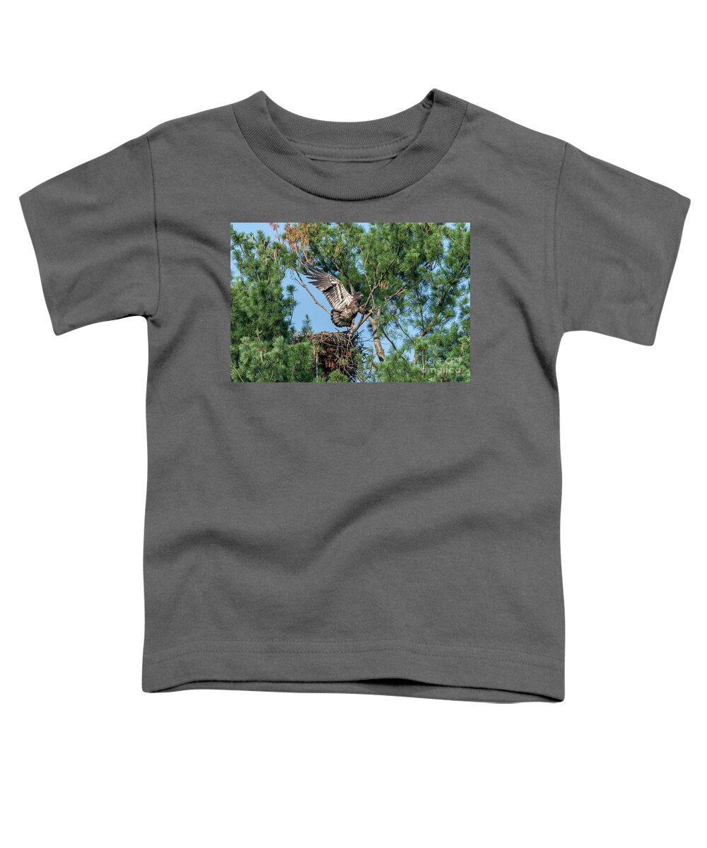 Juvenile Bald Eagle Toddler T-Shirt featuring the photograph Immature Bald Eagle Learning to Fly by Ilene Hoffman