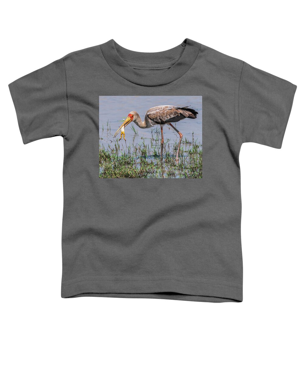 Africa Toddler T-Shirt featuring the photograph Immature Yellow-billed Stork in Zimbabwe by Betty Eich