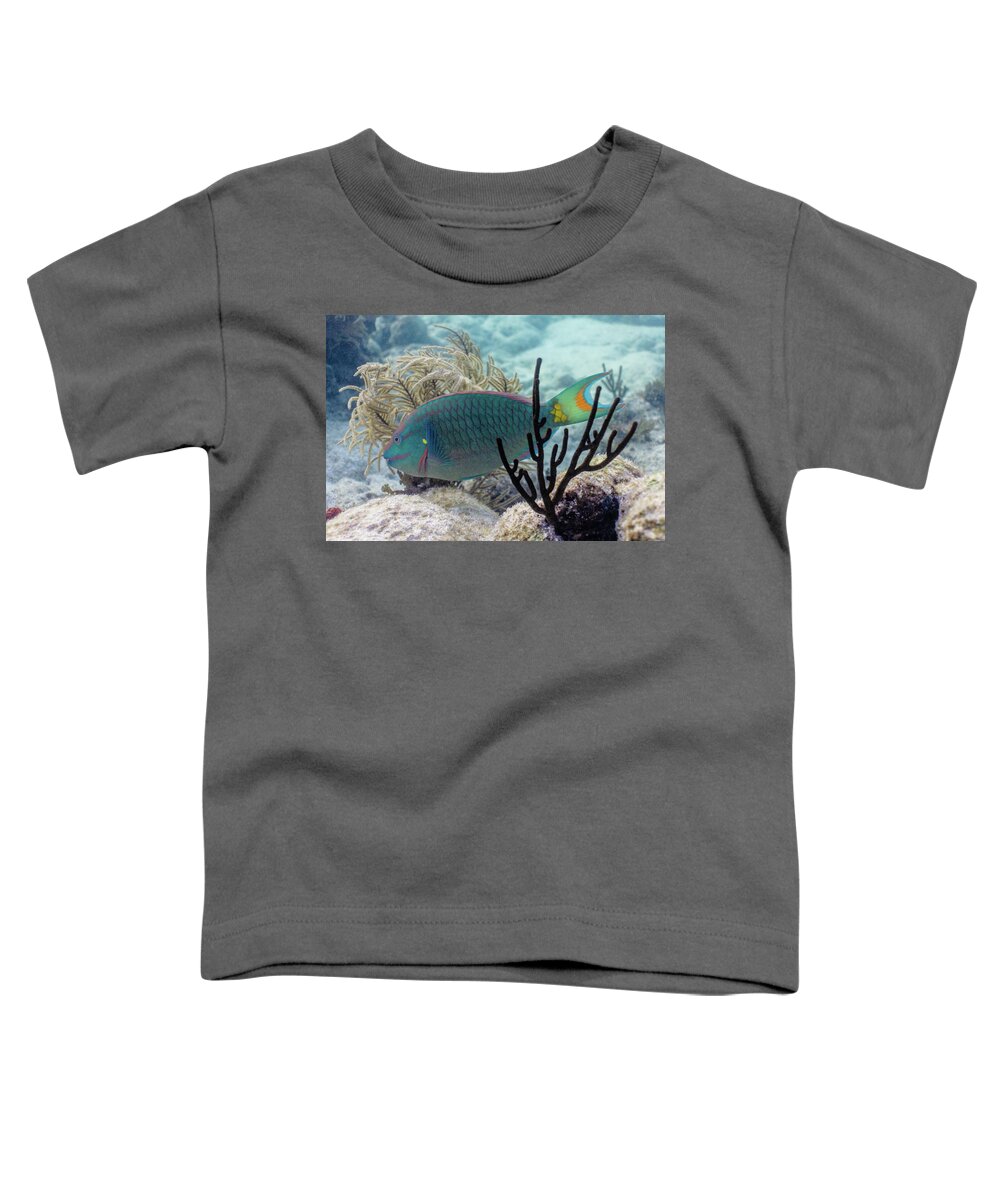 Stoplight Toddler T-Shirt featuring the photograph In Between by Lynne Browne