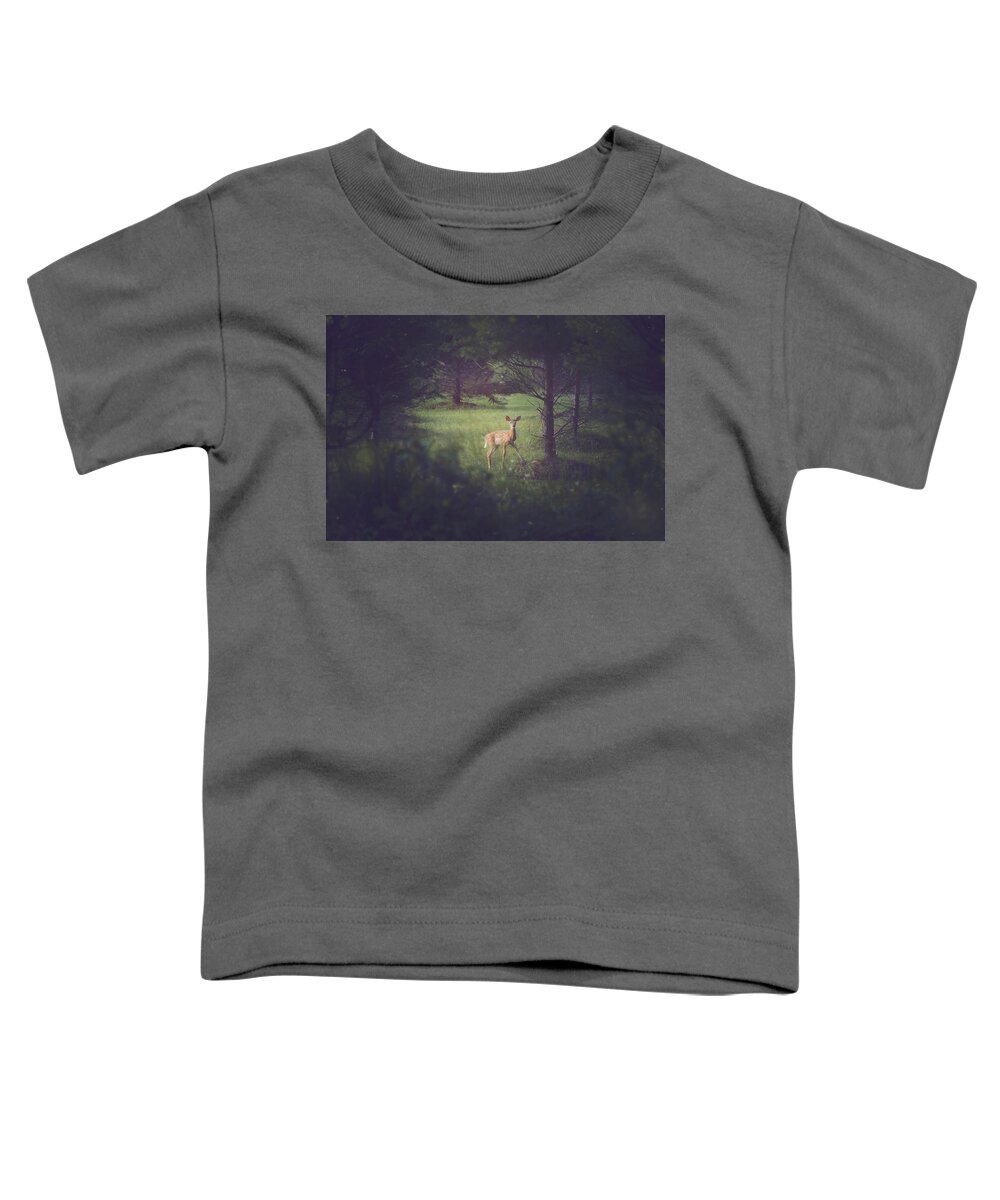 Carrie Ann Grippo-pike Toddler T-Shirt featuring the photograph In the Clearing at Dusk by Carrie Ann Grippo-Pike