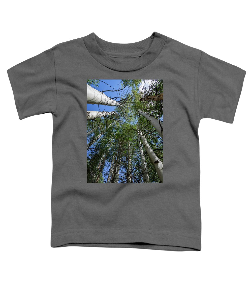 Aspens Toddler T-Shirt featuring the photograph In the Grove by Jeff Hubbard