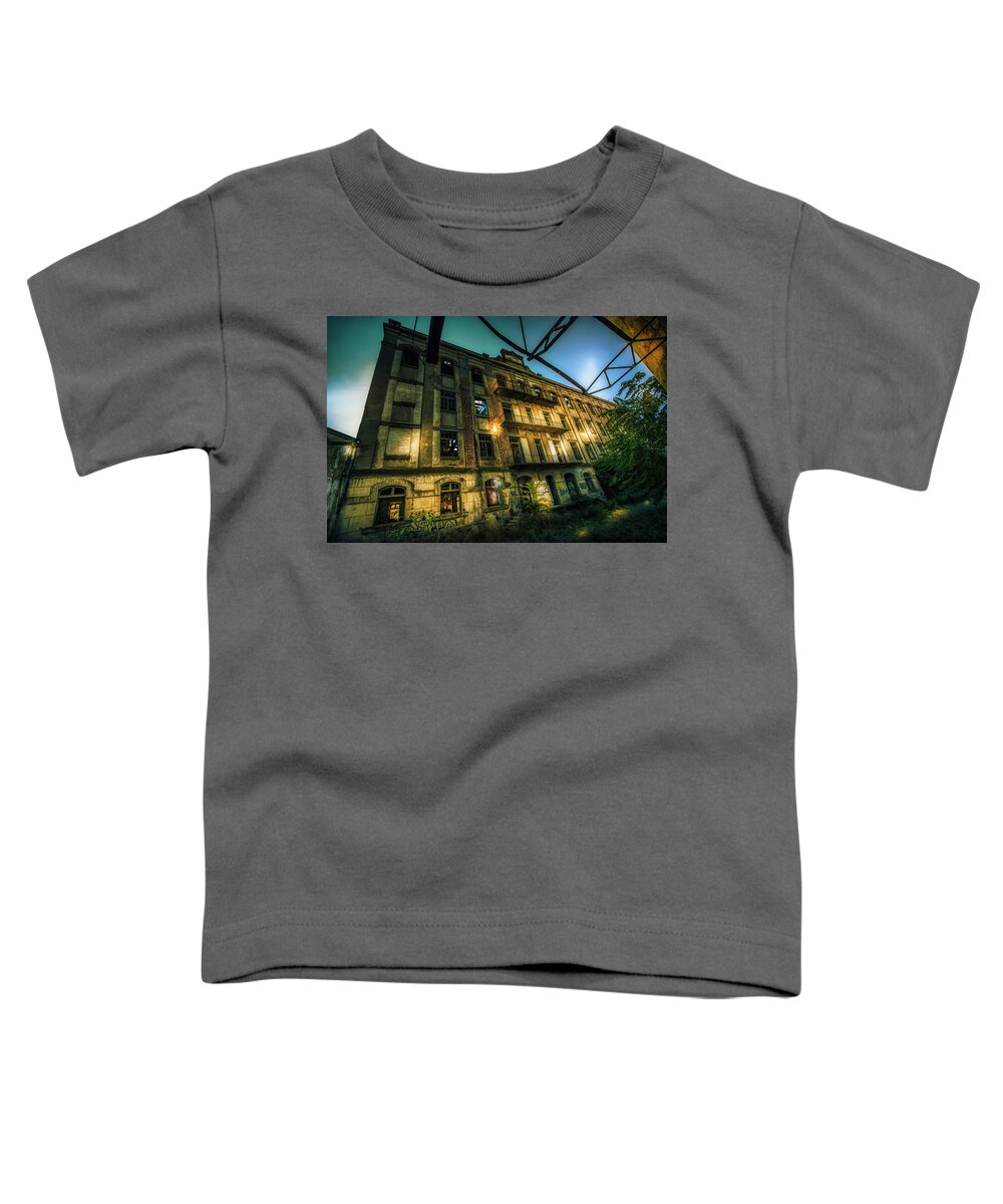 Factories Toddler T-Shirt featuring the photograph In The Land of The Vandals by Micah Offman