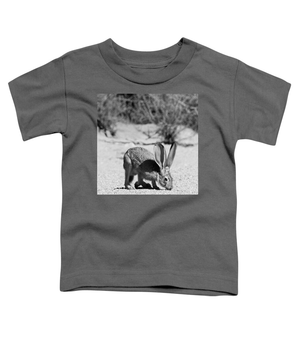 Jack Rabbit Toddler T-Shirt featuring the photograph Jack Rabbit by Perry Hoffman