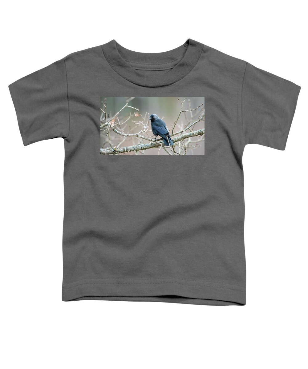 Jackdaw Toddler T-Shirt featuring the photograph Jackdaw perching on an oak branch by Torbjorn Swenelius