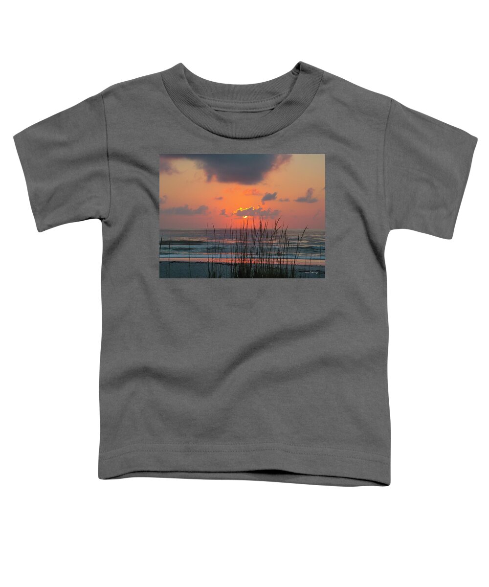 Reid Callaway Jacksonville Beach Sea Oats Sunrise Toddler T-Shirt featuring the photograph Jacksonville Beach FL Jacksonville Beach Sea Oats Sunrise Atlantic Ocean Seascape Art by Reid Callaway