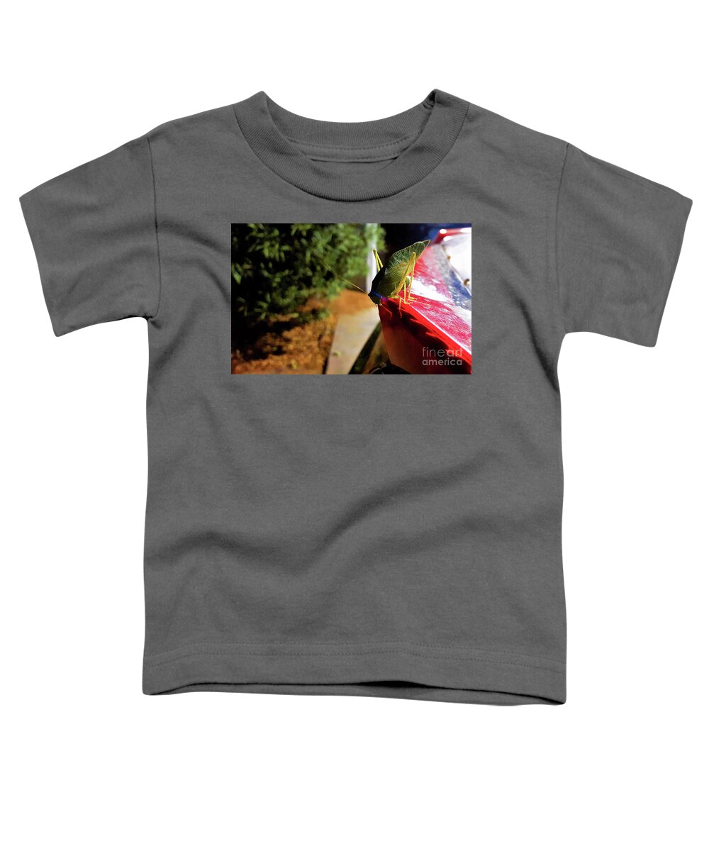 Kadydid Toddler T-Shirt featuring the photograph Jump Off Debate by Angela J Wright