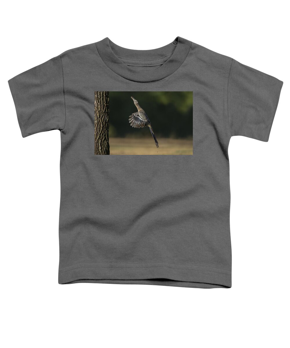 Greater Roadrunner Toddler T-Shirt featuring the photograph Jumping to Feed by Puttaswamy Ravishankar
