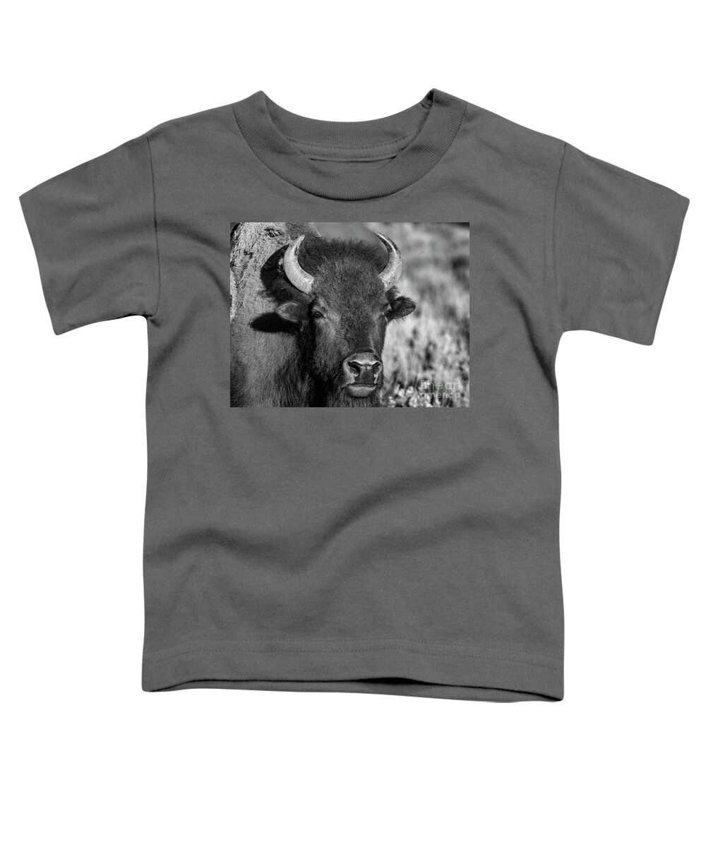 Wildlife Toddler T-Shirt featuring the photograph Just Posing by Sandra Bronstein