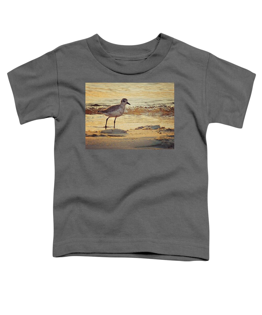 Black-bellied Plover Toddler T-Shirt featuring the photograph Juvenile Black-bellied Plover by Judy Stepanian