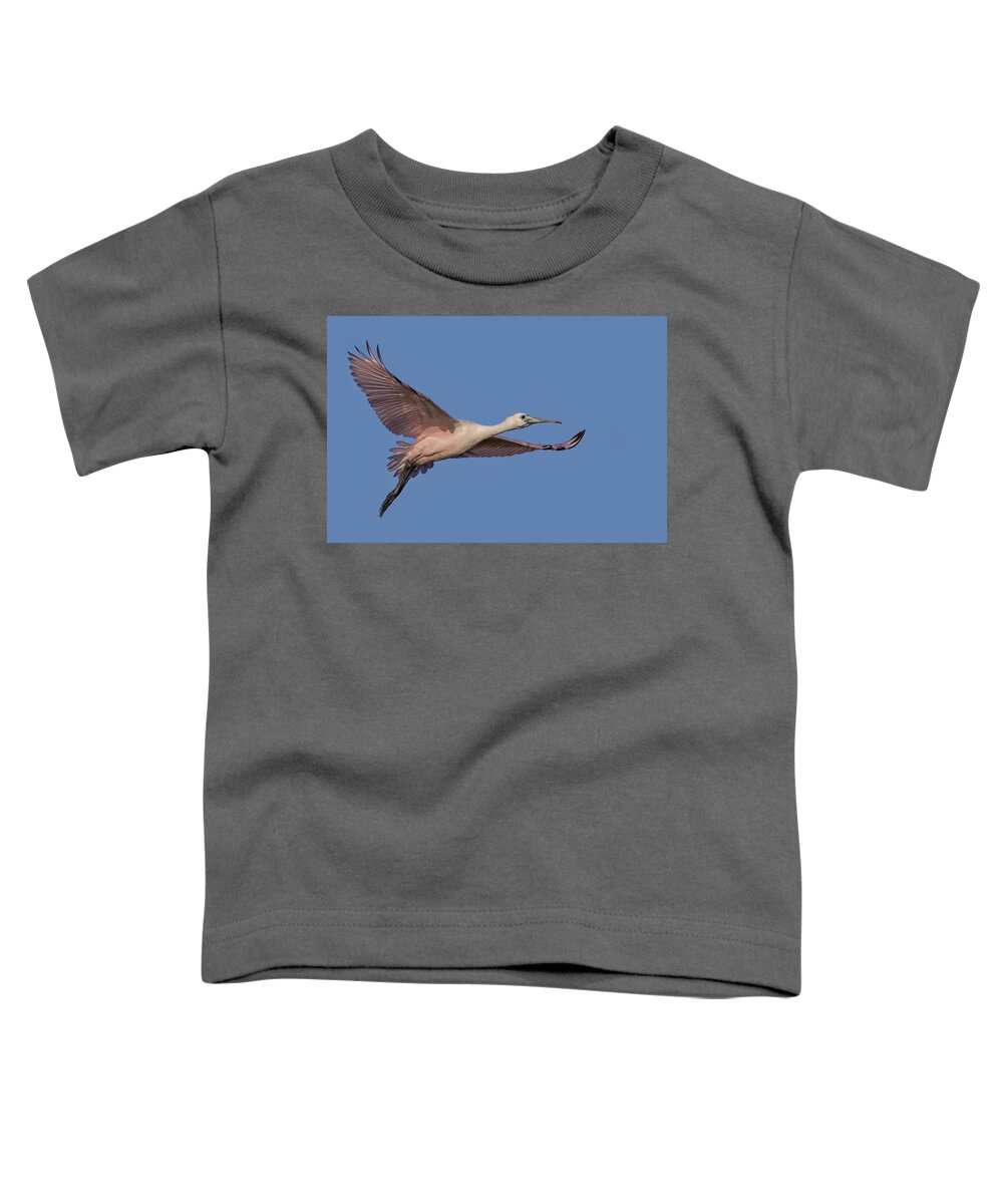 Spoonbill Toddler T-Shirt featuring the photograph Juvenile Roseate Spoonbill by Susan Candelario