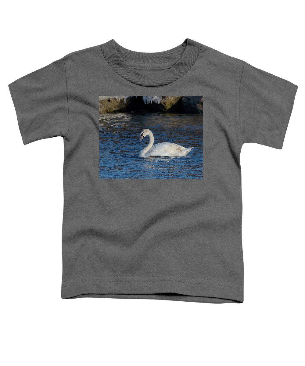 Bird Toddler T-Shirt featuring the photograph Juvenile Swan by Flinn Hackett
