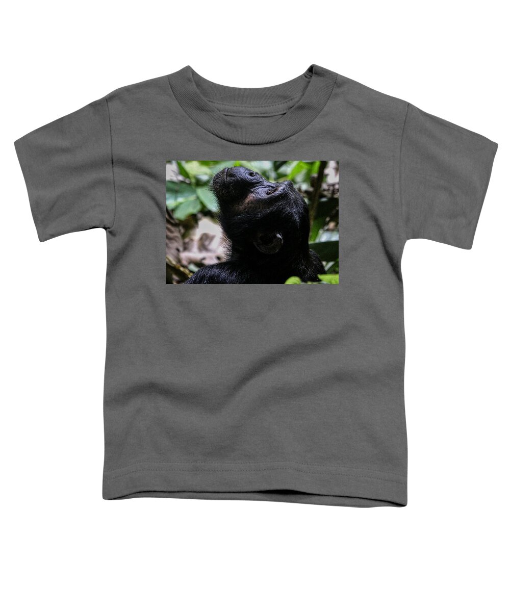 Keep Your Head To The Sky Toddler T-Shirt featuring the photograph Keep Your Head To The Sky by Gene Taylor