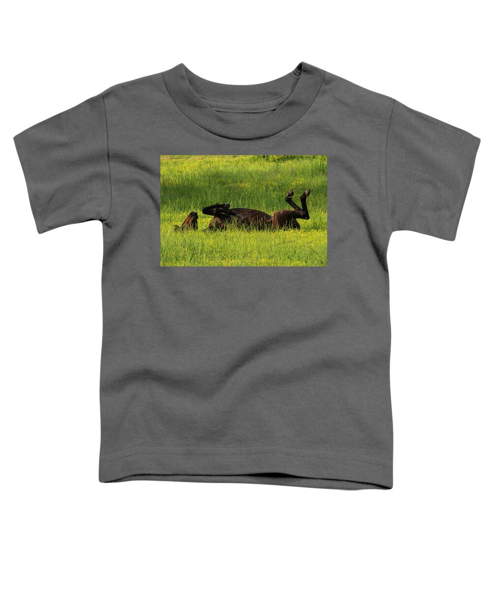 Great Smoky Mountains National Park Toddler T-Shirt featuring the photograph Kick Up Your Feet by Melissa Southern