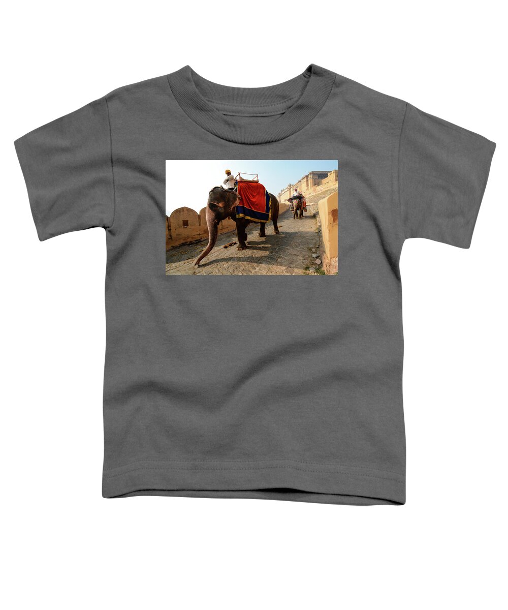 India Toddler T-Shirt featuring the photograph Kingdom Come II - Amber Fort, Rajasthan. India by Earth And Spirit
