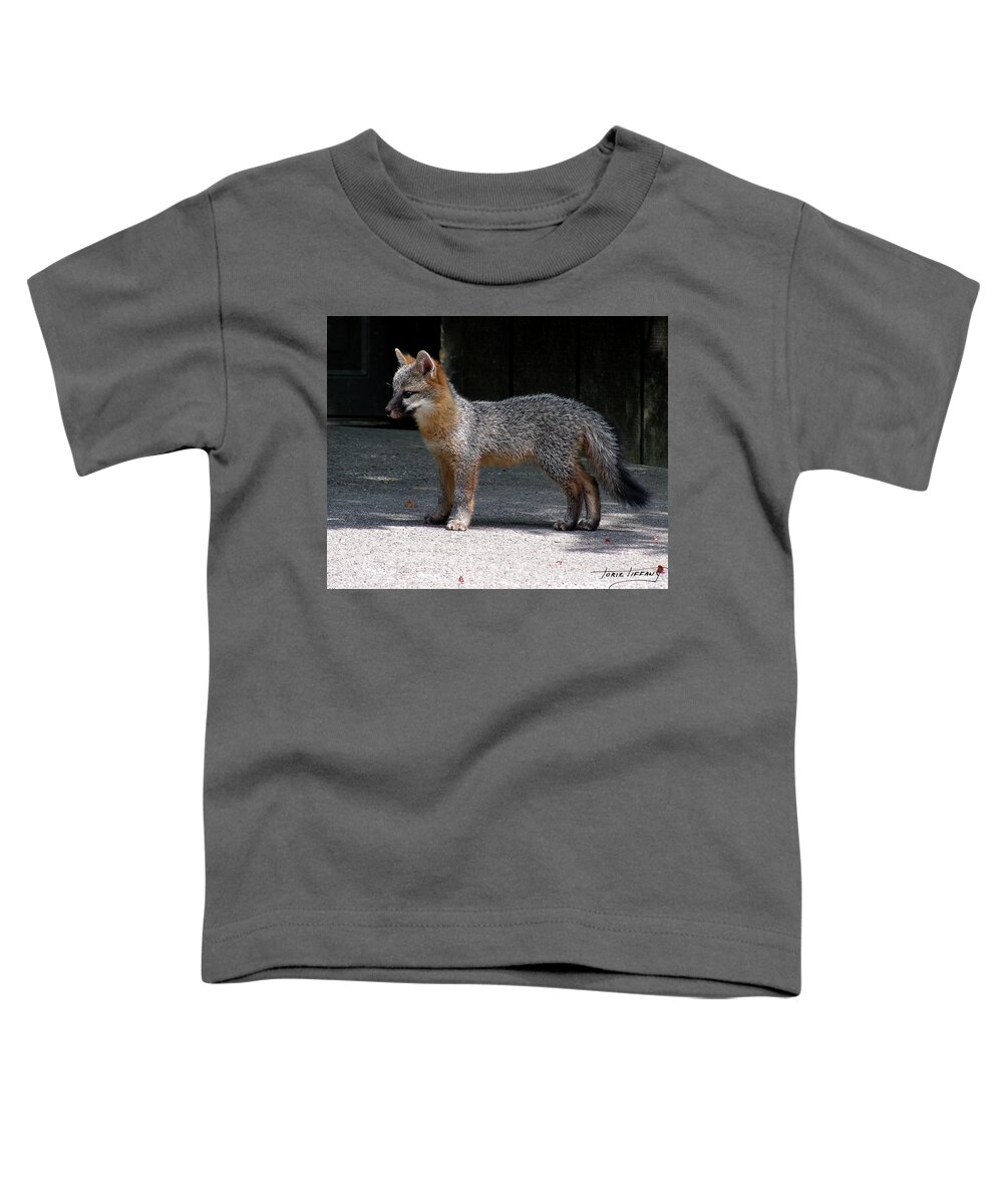 Kit Fox Toddler T-Shirt featuring the photograph Kit Fox14 by Torie Tiffany