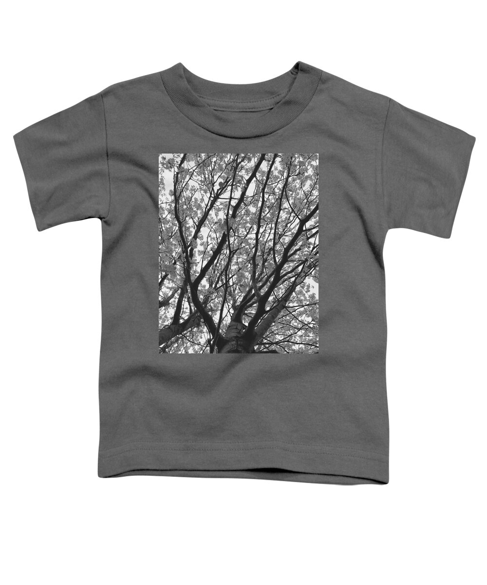 Tree Toddler T-Shirt featuring the photograph Last Day of Winter by Lee Darnell