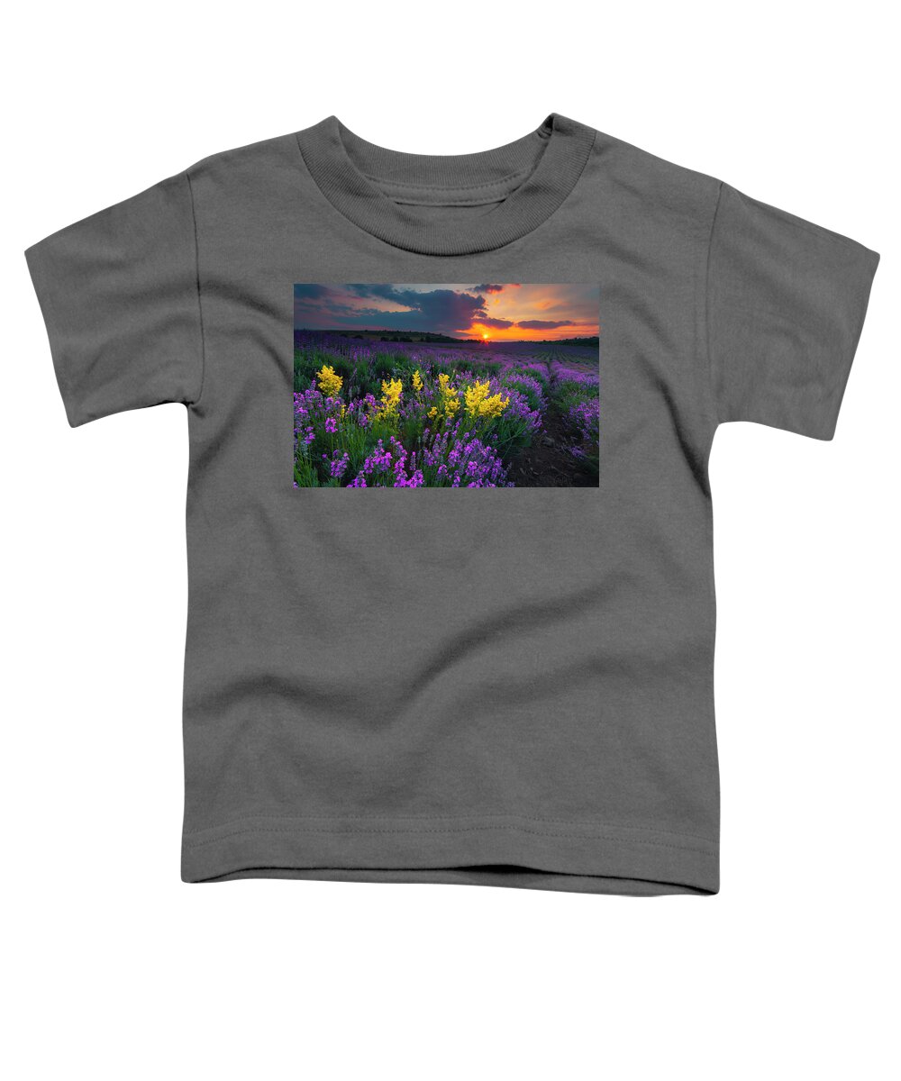 Bulgaria Toddler T-Shirt featuring the photograph Lavenderscape by Evgeni Dinev