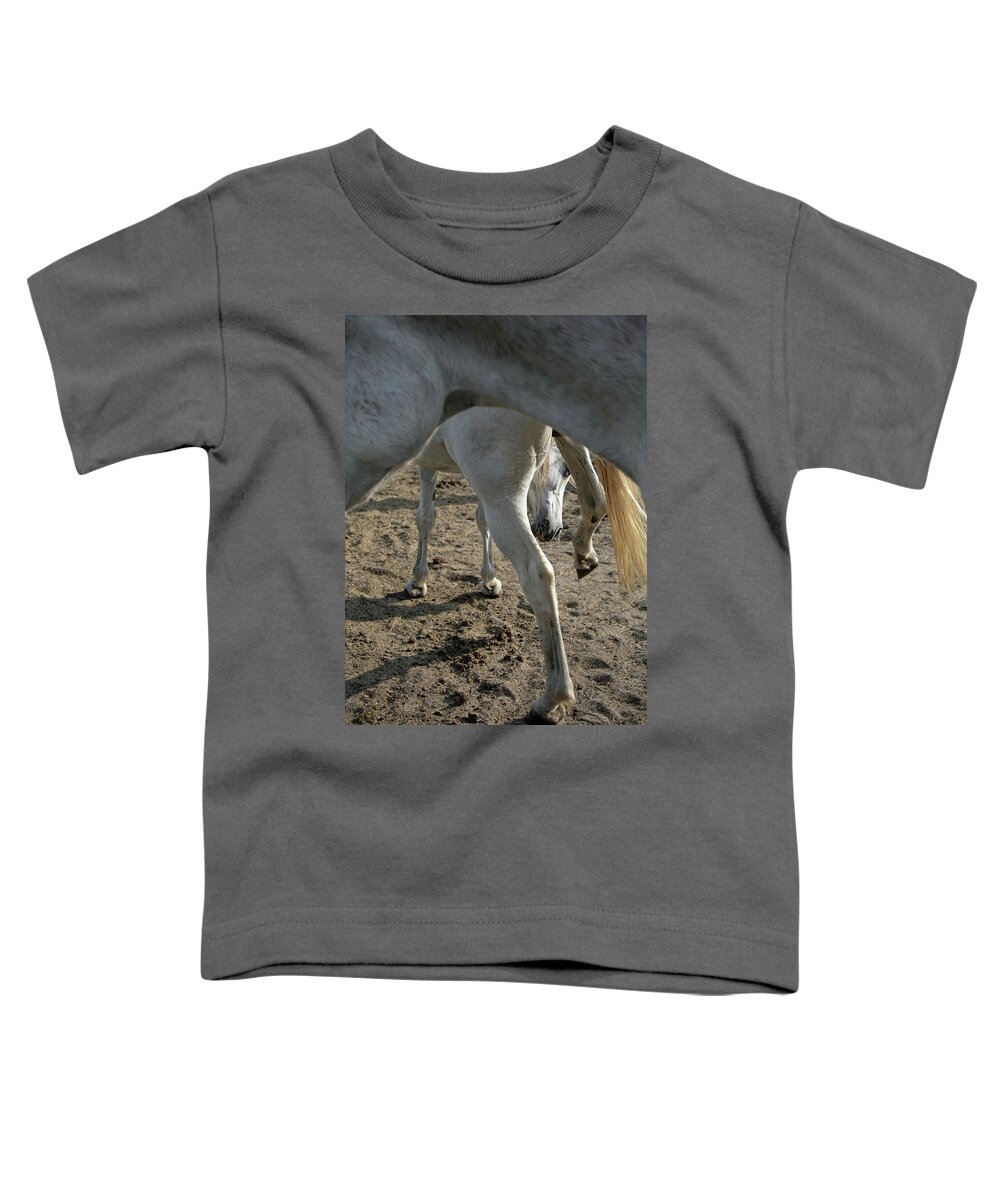 Horses Toddler T-Shirt featuring the photograph Layers of Mares by M Kathleen Warren