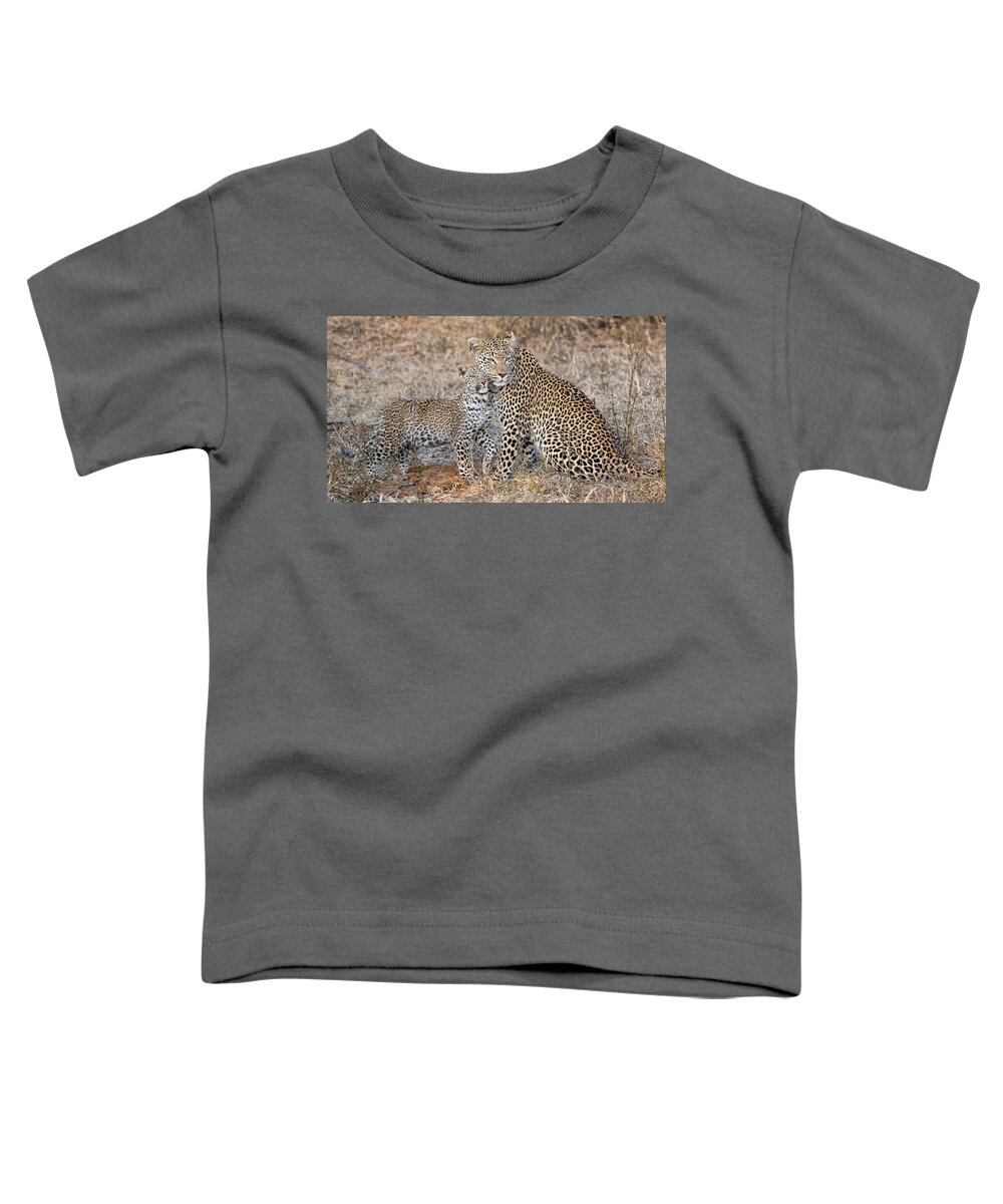 Jennifer Waugh Toddler T-Shirt featuring the photograph Leopard Family by Max and Jenn Waugh