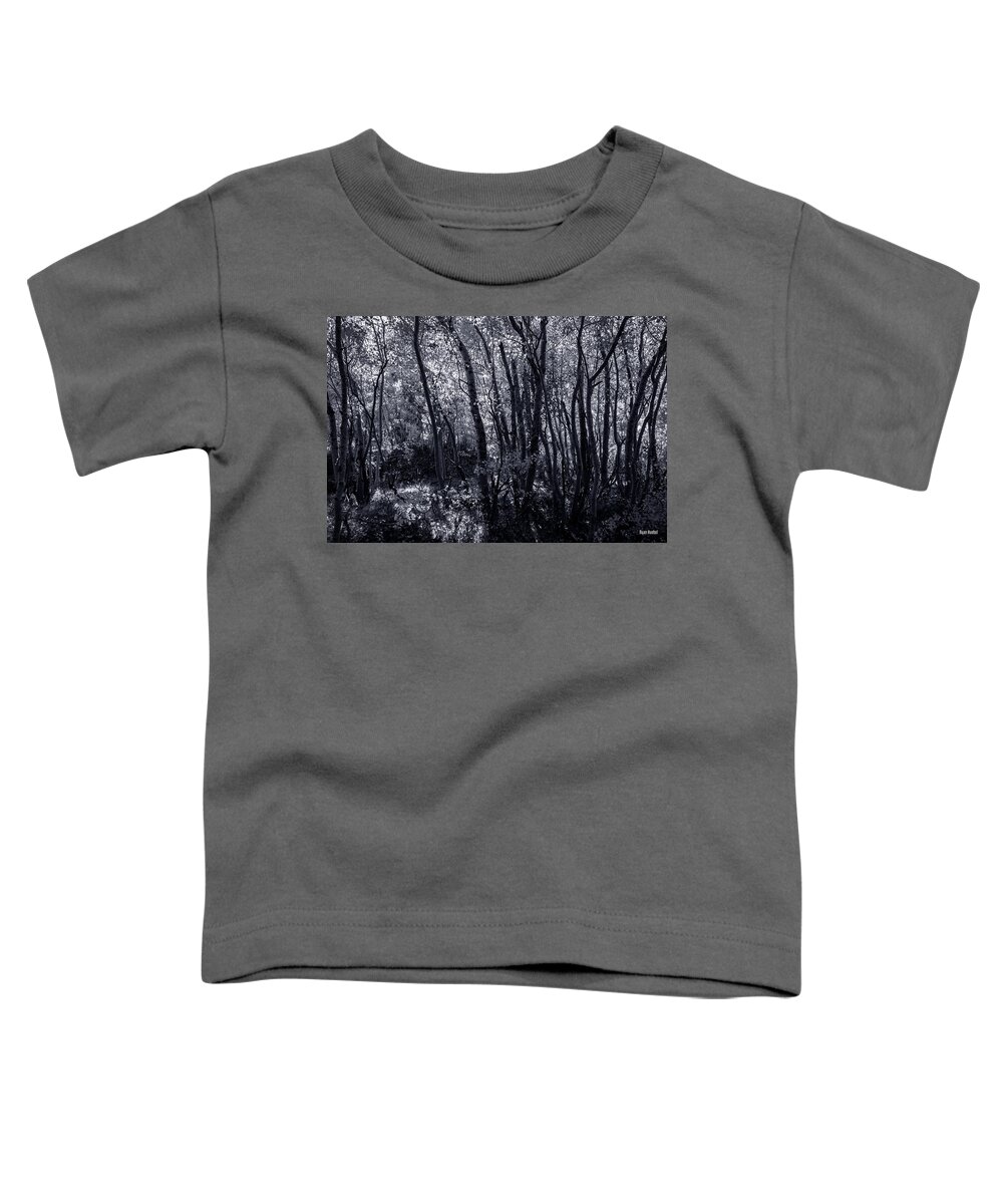 Black And White Toddler T-Shirt featuring the photograph Light Through the Leaves by Ryan Huebel