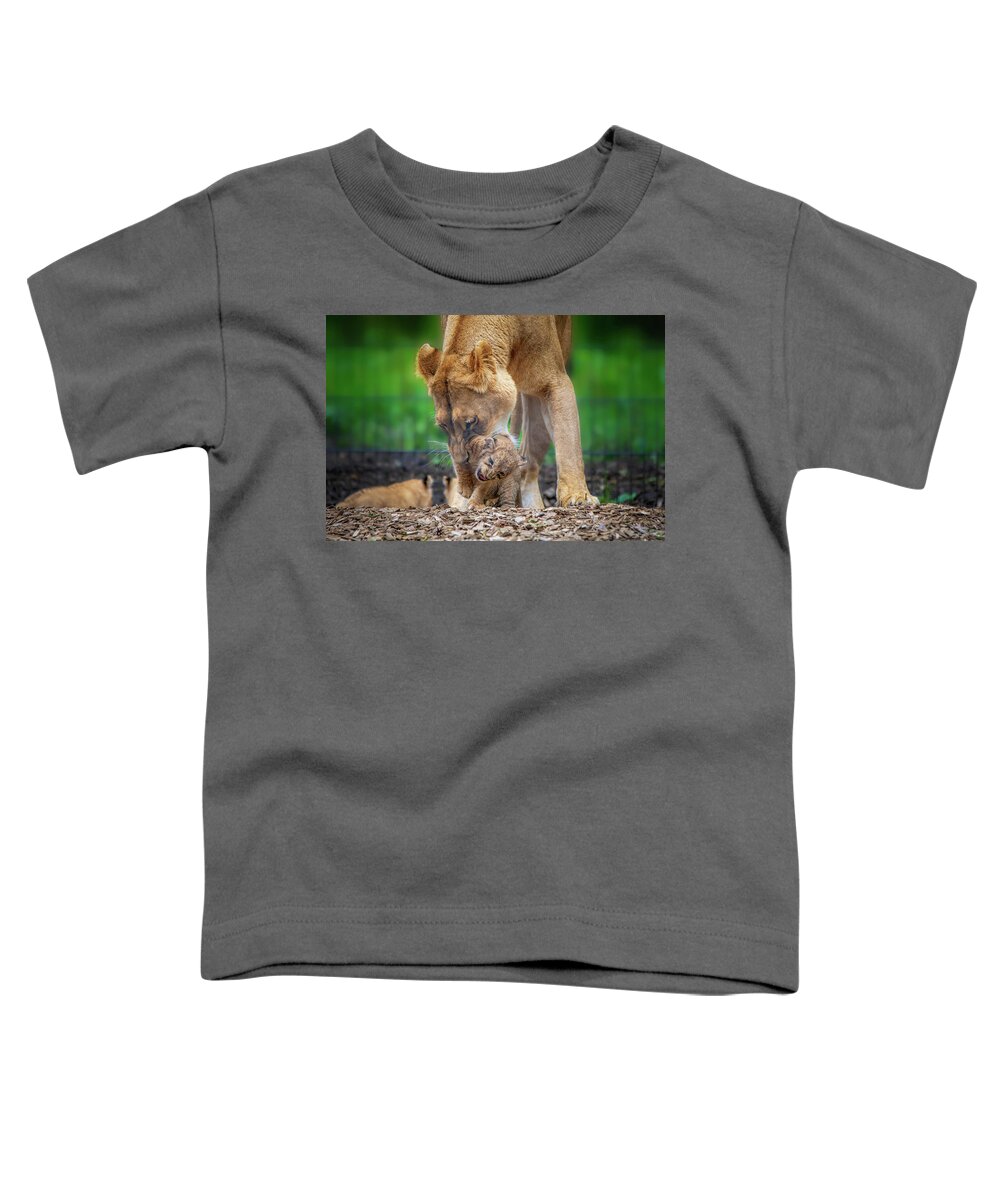 Lion Toddler T-Shirt featuring the photograph Lily and cub in mouth by Gareth Parkes