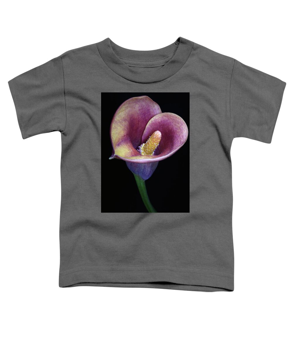 Flower Toddler T-Shirt featuring the photograph Lily Feb282008 by Julie Powell
