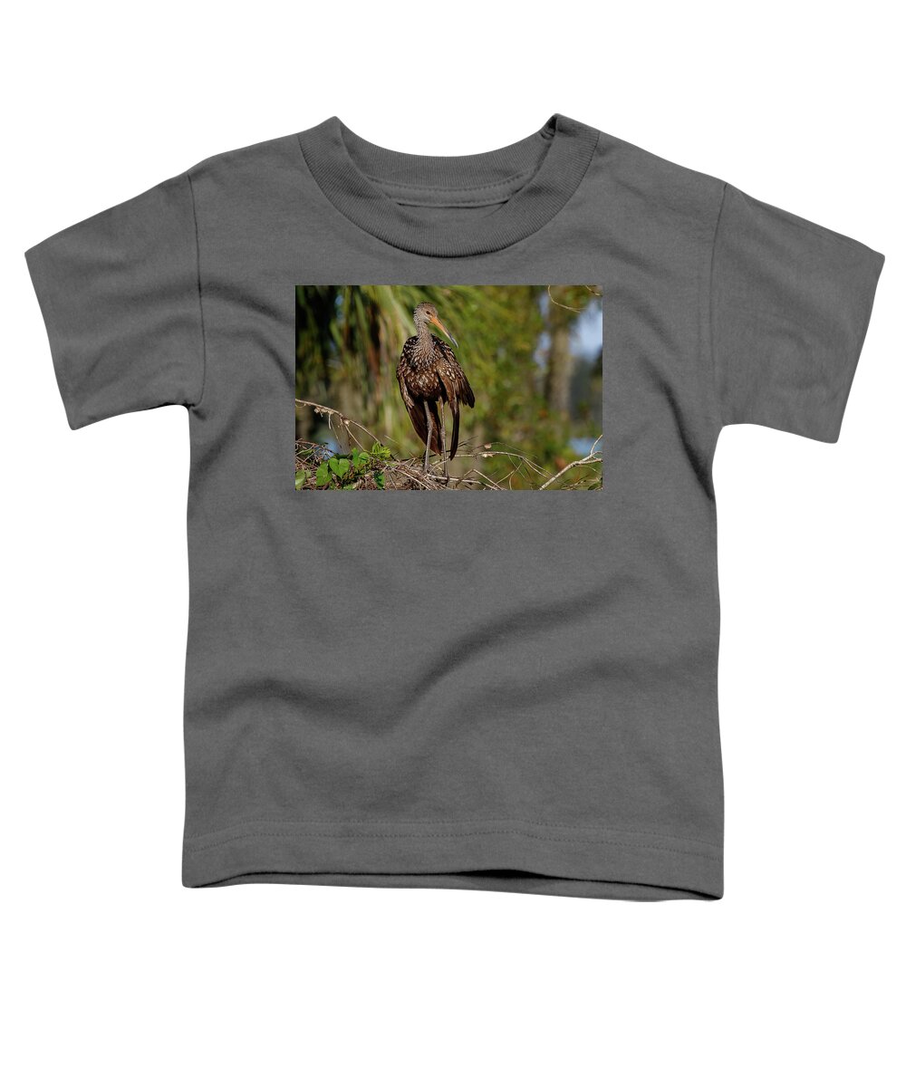 Limp Kin Toddler T-Shirt featuring the photograph Limpkin by Les Greenwood