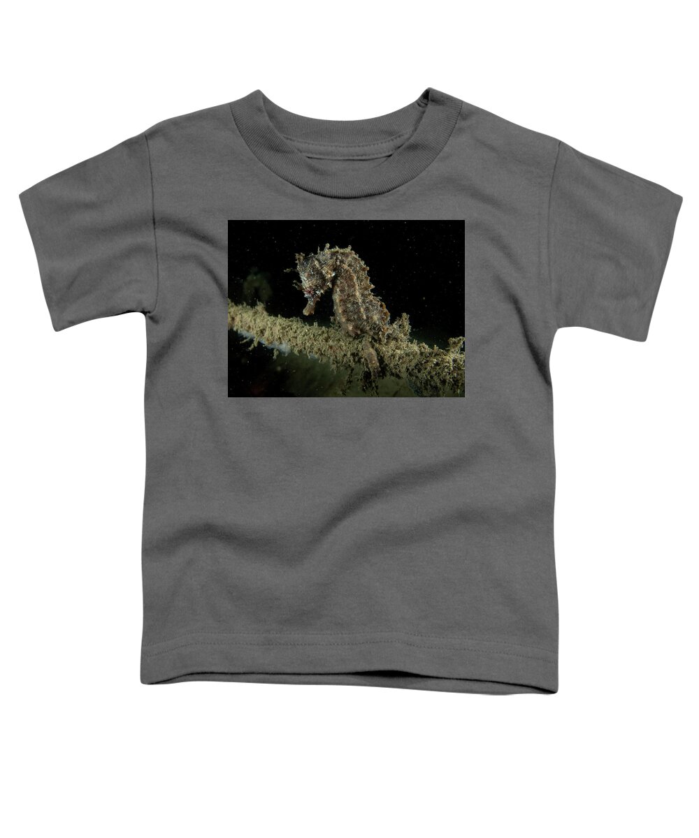 Fish Toddler T-Shirt featuring the photograph Lined Seahorse by Brian Weber
