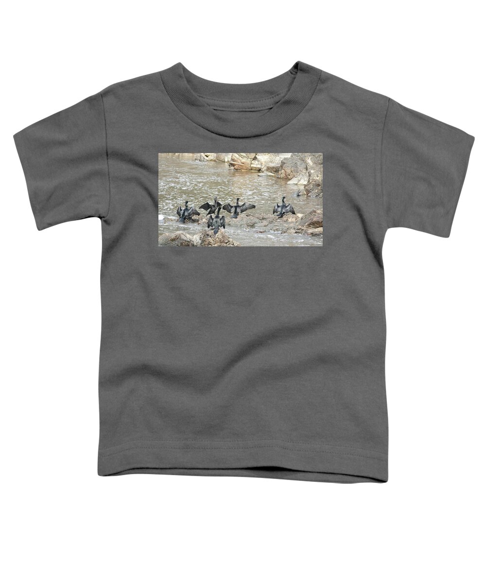 Animals Toddler T-Shirt featuring the photograph Little Black Cormorants Drying Their Wings by Maryse Jansen