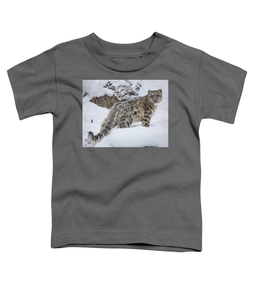 Animal Toddler T-Shirt featuring the photograph Little Miss Blue Eyes by Teresa Wilson