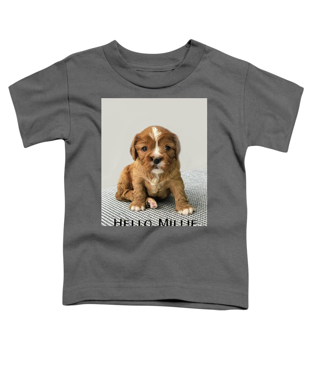 Cavalier Toddler T-Shirt featuring the photograph Little Miss Millie by Marilyn Cornwell