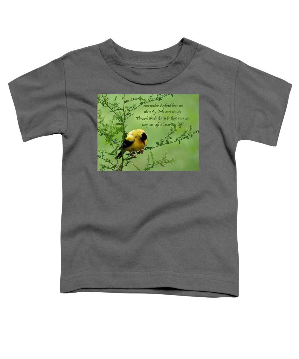 Goldfinch Toddler T-Shirt featuring the photograph Little Prayer by Alida M Haslett