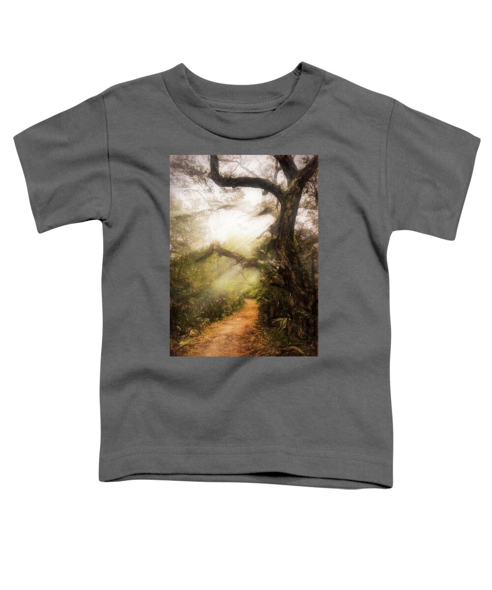Trail Toddler T-Shirt featuring the photograph Little Talbot Island Sunlit Trail Painting by Debra and Dave Vanderlaan