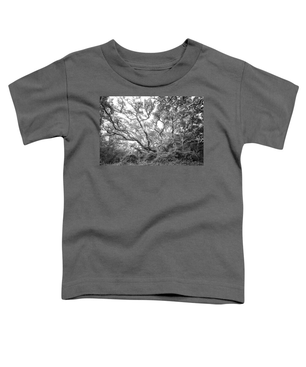 Live Oak Toddler T-Shirt featuring the photograph Live Oak Tree at Atlantic Beach North Carolina - Black and White by Bob Decker