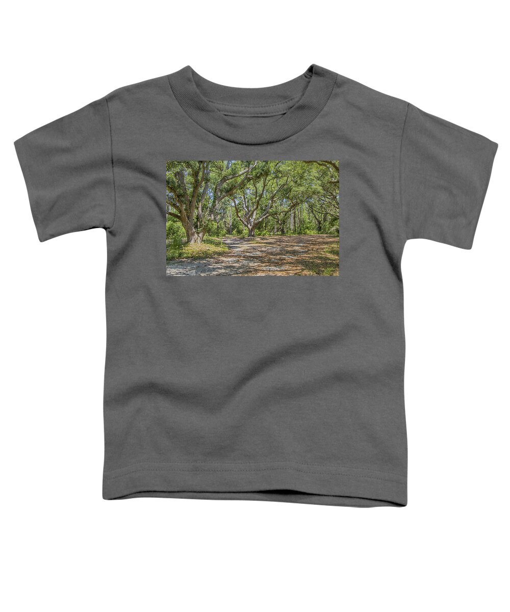 Live Oak Toddler T-Shirt featuring the photograph Live Oak Trees at Hammocks Beach by Bob Decker