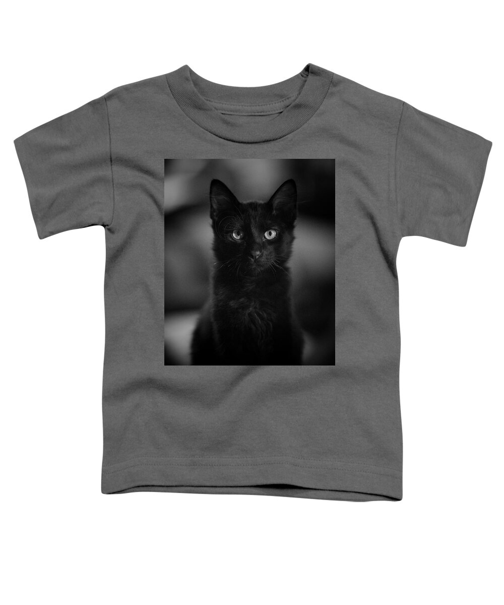 Cat Toddler T-Shirt featuring the photograph Loki by DArcy Evans