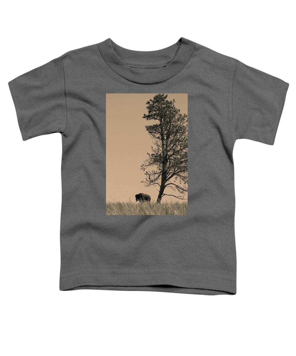 Bison Toddler T-Shirt featuring the photograph Lone Bison by Larry Bohlin