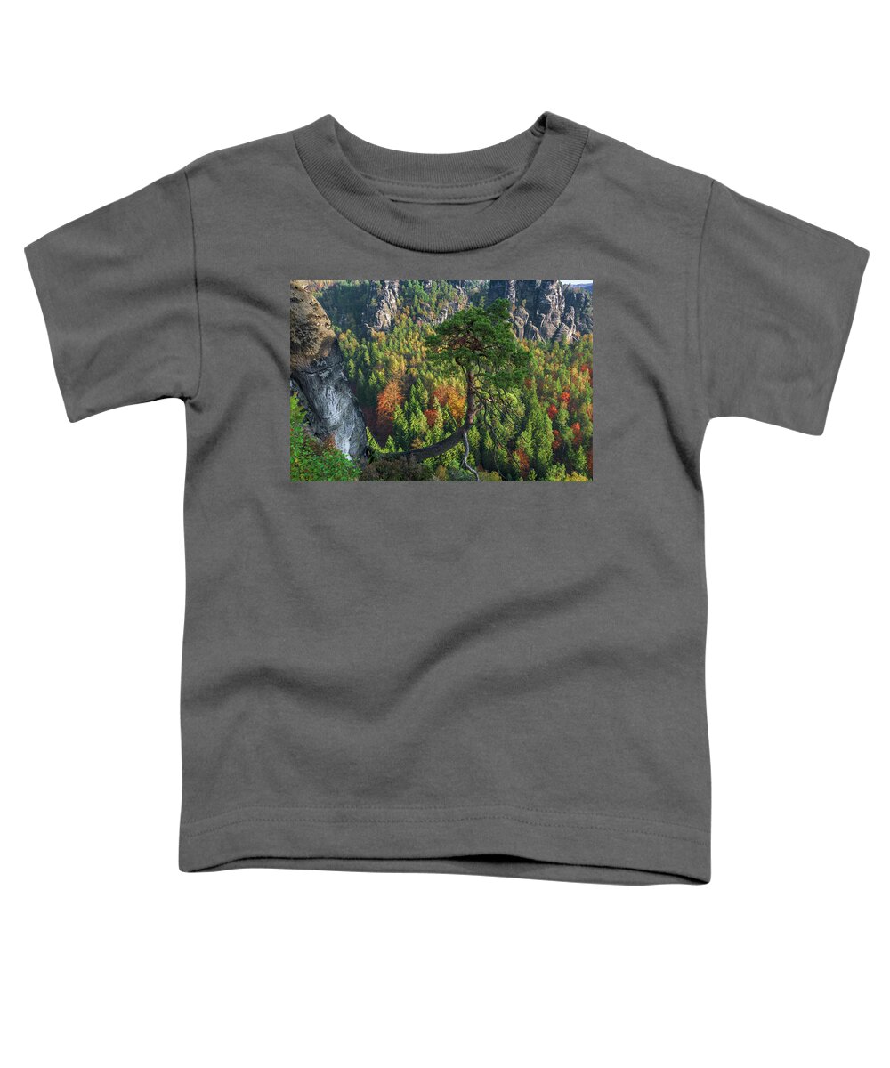 Saxon Switzerland Toddler T-Shirt featuring the photograph Lonely tree in the Elbe Sandstone Mountains by Sun Travels
