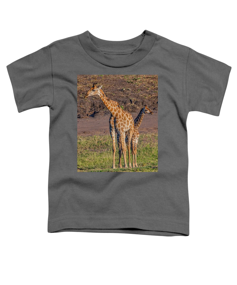 Giraffes Toddler T-Shirt featuring the photograph Long Necks and Long Legs in Botswana by Marcy Wielfaert
