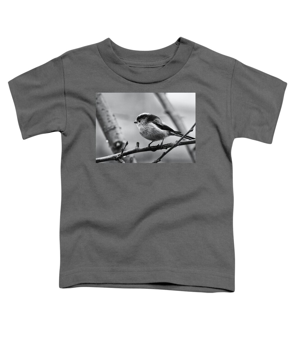 Long Tailed Tit Toddler T-Shirt featuring the photograph Long Tailed Tit Monochrome by Jeff Townsend