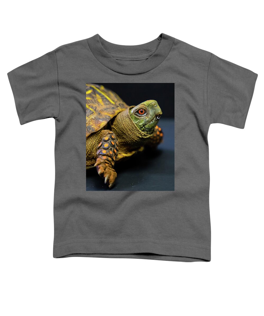Turtle Toddler T-Shirt featuring the photograph Look Into My Eye by Toni Hopper