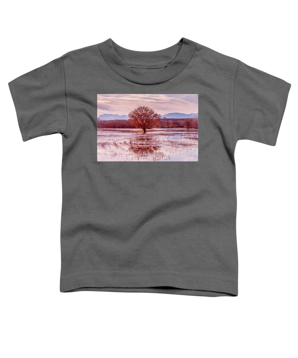 Pink Toddler T-Shirt featuring the photograph Looking at the Bosque through Rose Colored Eyes by Mary Lee Dereske