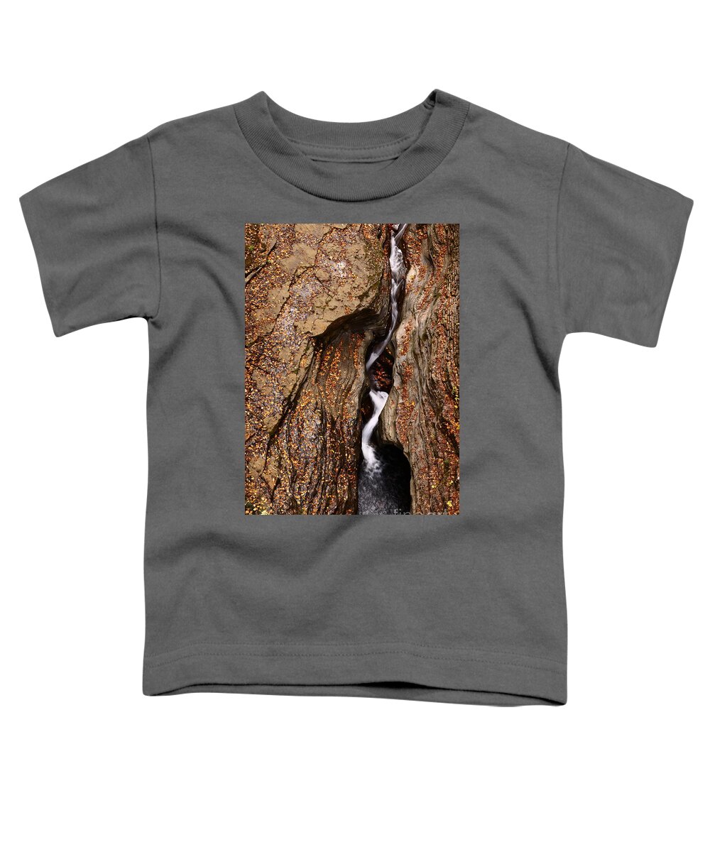 Watkins Glen State Park Sp Toddler T-Shirt featuring the photograph Looking Down at the Glen by fototaker Tony